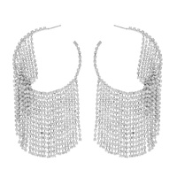 CRYSTAL RHINESTONE TASSEL HOOP EARRINGS