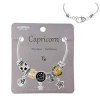Capricorn BIRTHSTONE ZODIAC SIGN MULTI CHARM BRACELET IN SILVER TONE