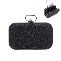 HARD CASE EVENING BAG