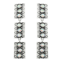 WESTERN CRYSTAL RECTANGLE CONCHO EARRINGS