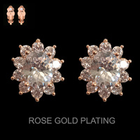 OVAL CZ STONE CLIP ER