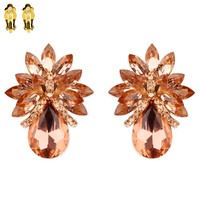 PEACH BEAUTIFUL TEARDROP GEM EARRINGS