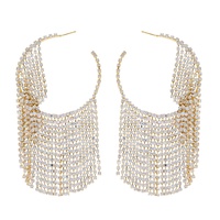 CRYSTAL RHINESTONE TASSEL HOOP EARRINGS