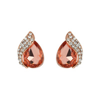 Teardrop Gem With Stone Leaf Stud Earrings
