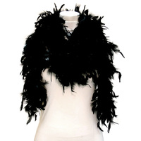Fs0101Bk Feather Boa