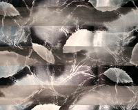 Satin And Chiffon Striped Scarf With Abstract Leaf Shapes Pattern Print Hg7037Dz