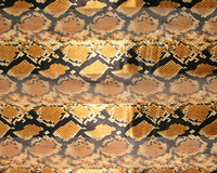 Satin And Chiffon Striped Scarf With Rattlesnake Snake Pattern Print Hg7047