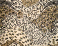 Furry Chiffon Scarf With Leopard And Flowers Pattern Print Hg7306Dz