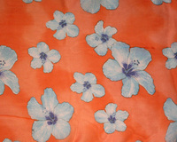 Chiffon Scarf With Hibiscus Flowers Pattern Print Hg7318Dz