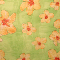 Chiffon Scarf With Tropical Flowers Pattern Print Hg7344Dz