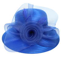 FLORAL FEATHERED DOWN BRIM CLOCHE BRAID HAT