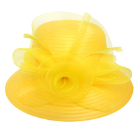 FLORAL FEATHERED DOWN BRIM CLOCHE BRAID HAT