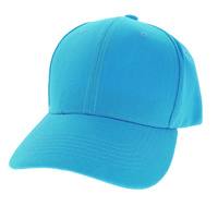 BASIC BASEBALL CAP