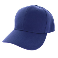 BASIC BASEBALL CAP