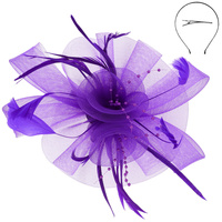 KENTUCKY DERBY SOUTHERN STYLE FEATHER FASCINATOR DETACHABLE HEADBAND INCLUDES HEADBAND AND CLIP