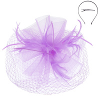 VEILED MESH FASCINATOR WITH HEADBAND AND CLIP