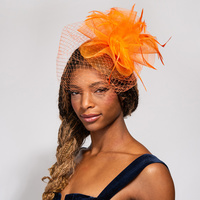 VEILED MESH FASCINATOR WITH HEADBAND AND CLIP