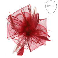 FEATHER MESH FASCINATOR HAIR CLIP SET