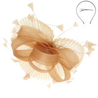 FEATHER SPRAY LOOP FASCINATOR