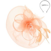 FLORAL FEATHERED ORGANZA FASCINATOR