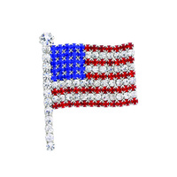 S S RS WAVE AMERICA FLAG PIN