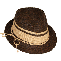 Sewn Braid Raffia Fedora With Trim Raf1356Br