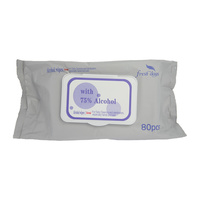 SANITARY WIPES 80