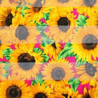 SUNFLOWER FIELD SATIN SCARF