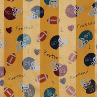 GAMEDAY FOOTBALL AND HELMET SATIN SCARF