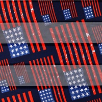 AMERICAN FLAG PATRIOTIC SHEER SATIN SCARF