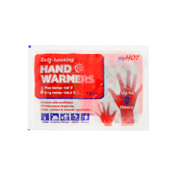 1 PAIR DISPOSABLE HAND WARMERS